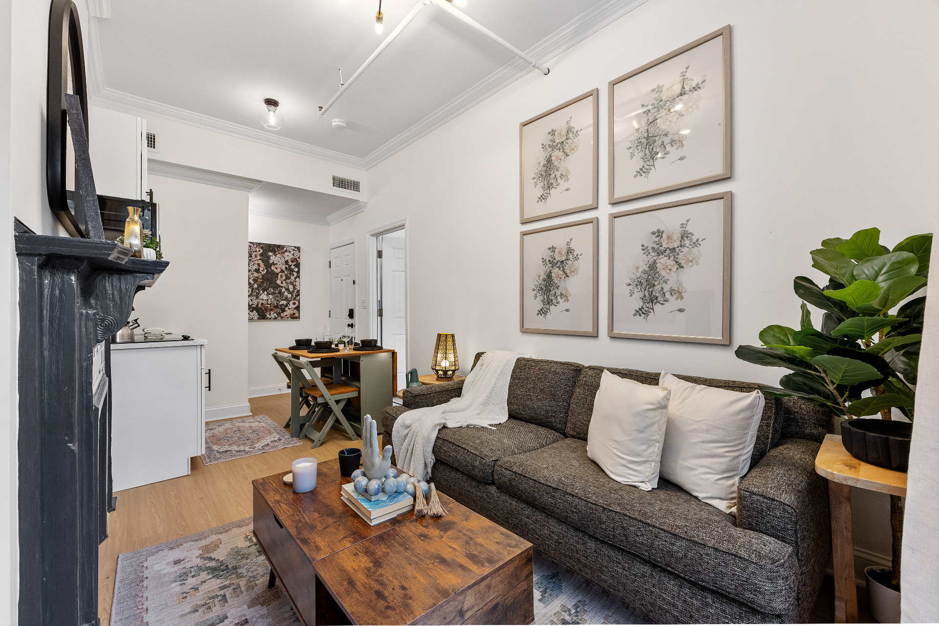 New York Brownstone (Multi-Unit Project) — image 9